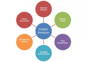 Carbon Emissions